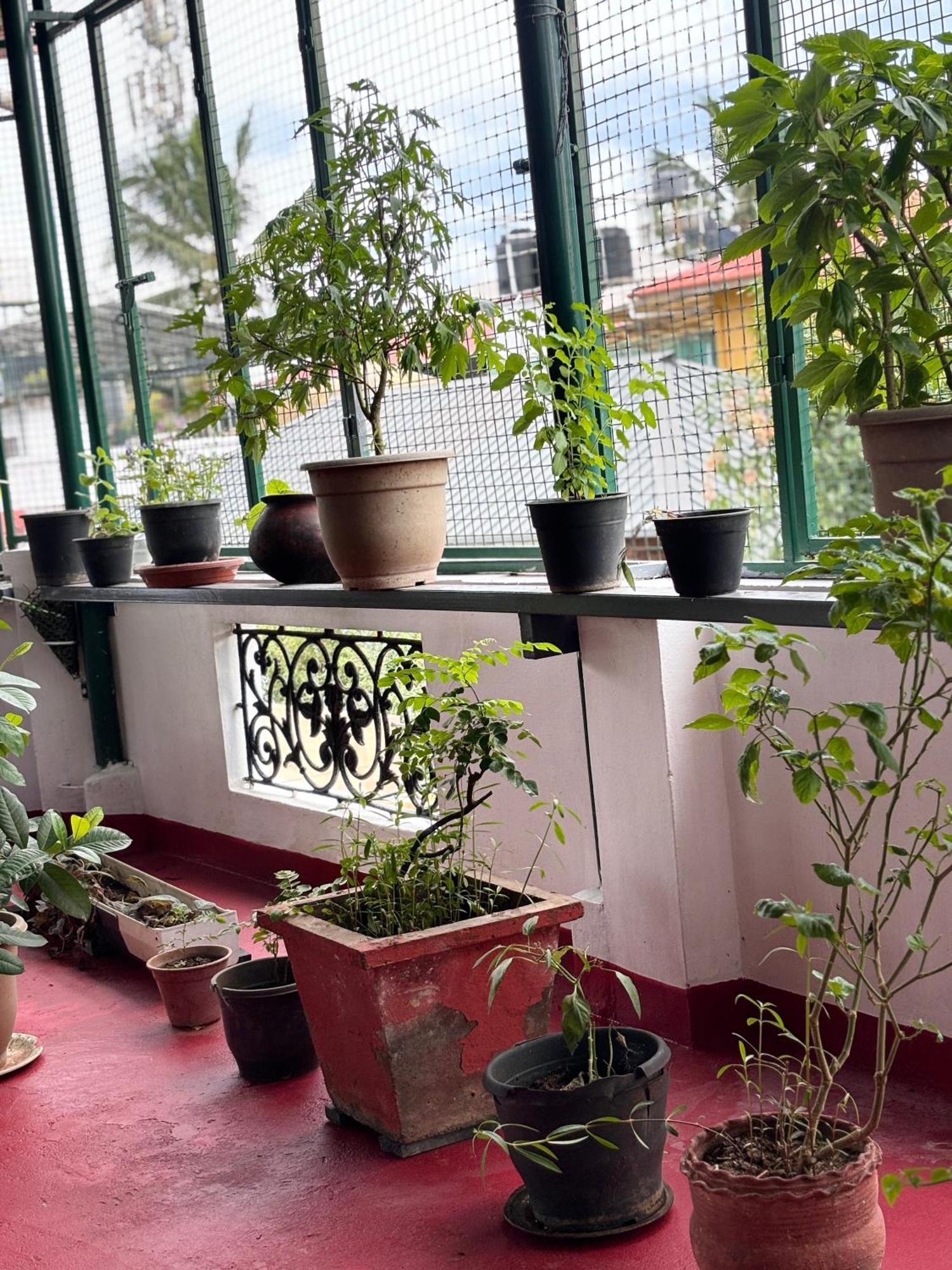 Beza Homestay Kochi Exterior photo